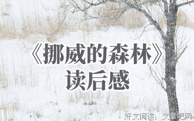 挪威的森林经典读后感有感