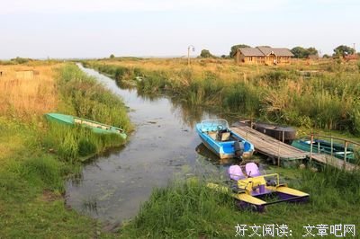 月亮背面的读后感大全