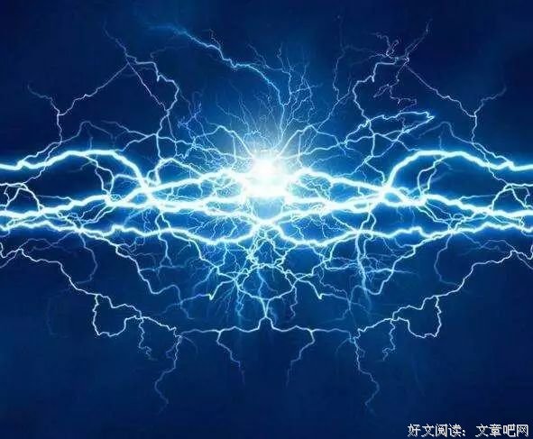 《流产的革命》读后感精选