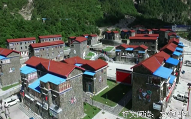 《幸福美丽绽放》影评100字