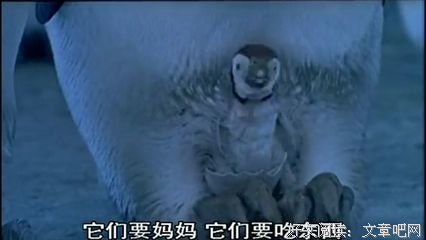 《边界移动两百年》观后感精选