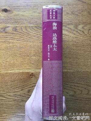 达洛维太太读后感精选