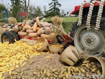 春华秋实句子大全