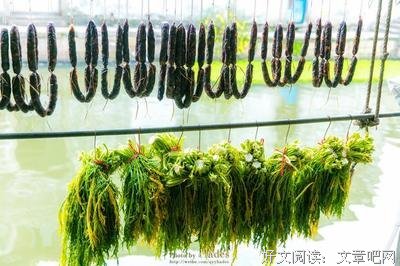 关于微薰我月利可就把小本的优美句子