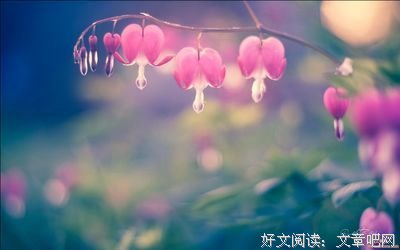 七想自到情缘的句子