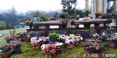 《一花一木一界一将对家向满任》的句子