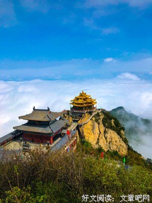 最新的《小良语录》经典的句子