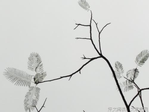 给生命留白