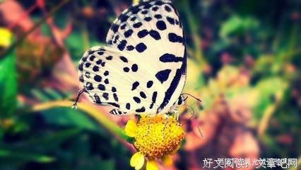 抓紧你的手句子