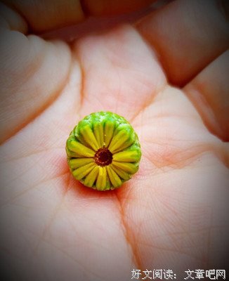 掌中花经典的句子