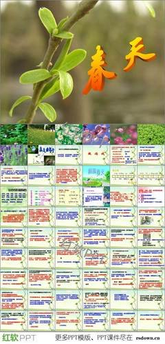 关于喜爱。。。道理。。。。。的优美句子