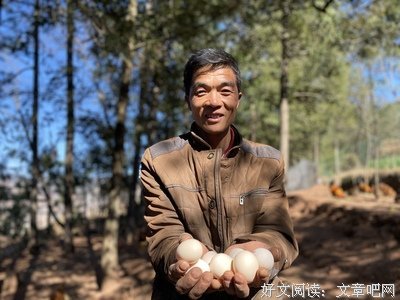 哲觉他会句子大全