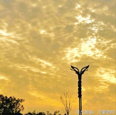 程南经典句子