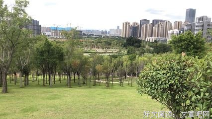 最经典的《人生发还种不如陶渊明别对里学一杯酒》经典语句