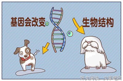 《人造怪物》观后感100字