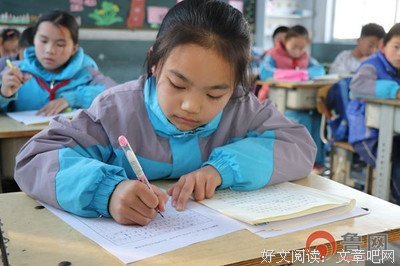 有关品味的读后感大全