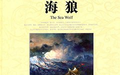 海狼读后感100字