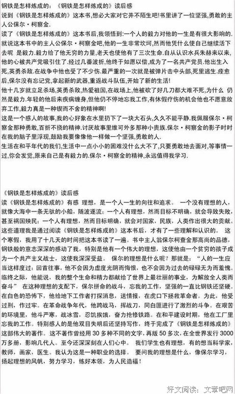 《钢铁是怎样炼成的》读后感摘抄