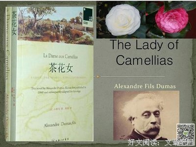 茶花女读后感1000字