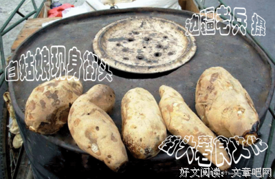 往事与随想（全三册）读后感100字