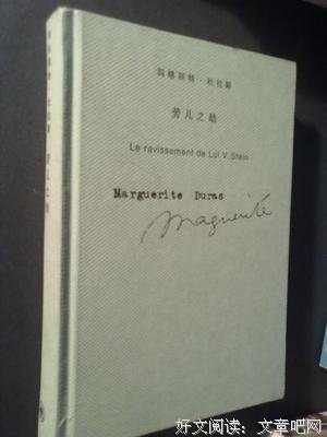 《劳儿之劫》读后感锦集
