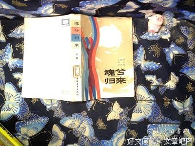关于魂兮归来的语句