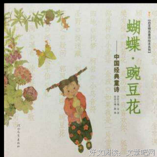 蝴蝶夫人读后感锦集