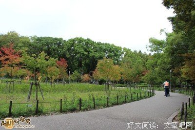 《西游记与中国古代政治》读后感摘抄