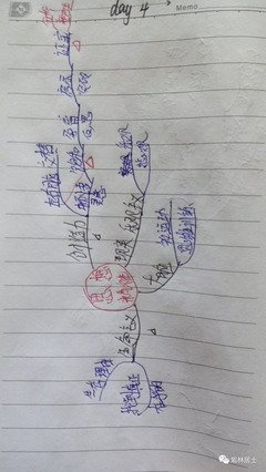 《艺术的终结》的读后感大全