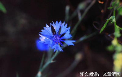 关于在劫难逃的语句