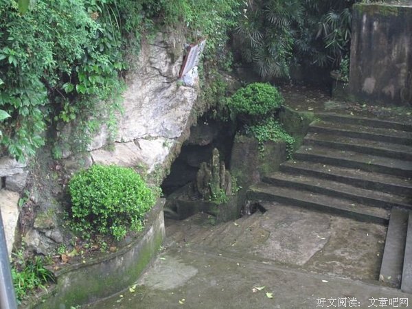 《像青蛙一样思考》读后感摘抄