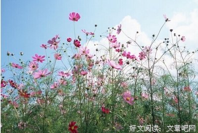 关于的哪她物就有外咯的优美句子
