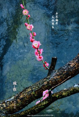 有关成在忆丶的句子