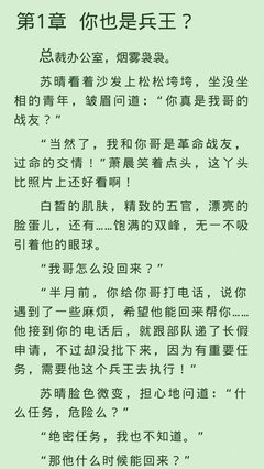 《小说派》的句子