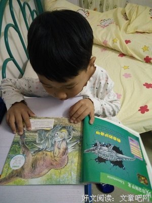 《战斗的恐龙：第二辑（全七册）》读后感锦集