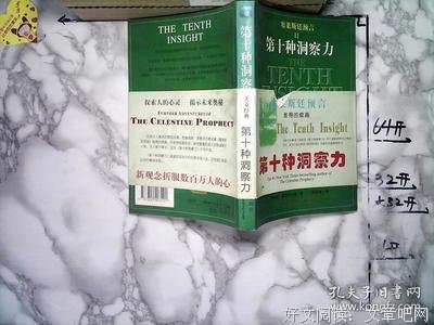 《塞莱斯廷预言Ⅱ第十种洞察力》的读后感大全