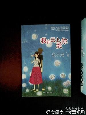 《我在雲上愛你》读后感摘抄
