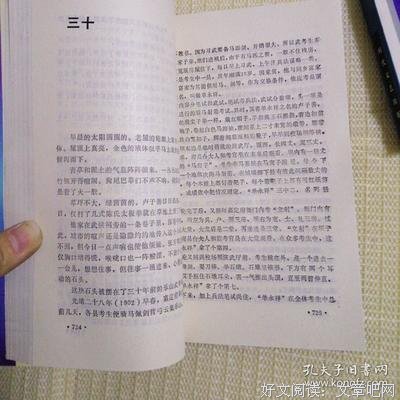 《骗枭》读后感精选