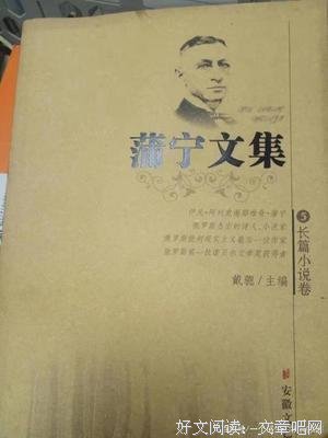 阿尔谢尼耶夫的一生读后感100字