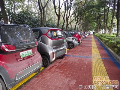 都市风景线经典读后感有感