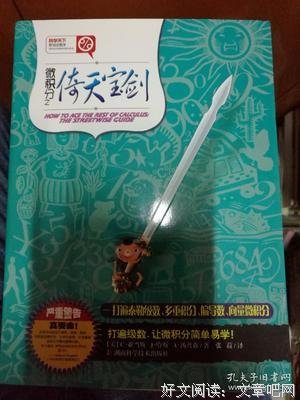 微积分之倚天宝剑读后感100字