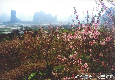 关于残缺不全的语句