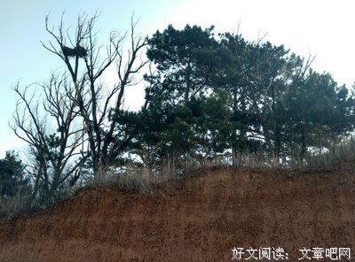 《起着风》影评精选