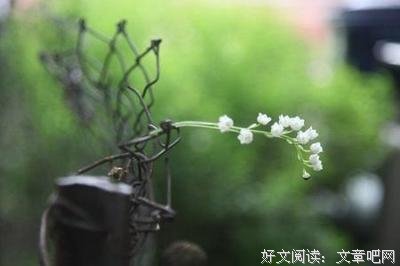 《我们家的微幸福生活》影评摘抄