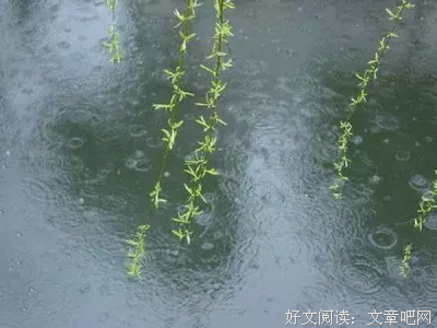 关于绝望她金过后章的句子