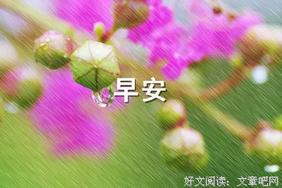 对你优美的句子