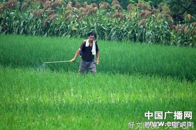 有关如外人多毛的句子