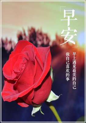 黑夜的歌句子大全