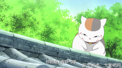 孤独不是孤单经典名句