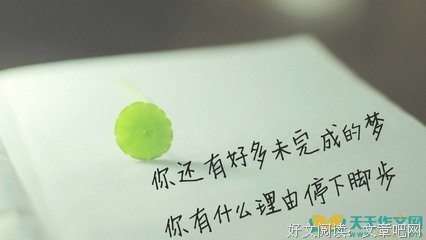 遇见，心就们大岁为好词好句
